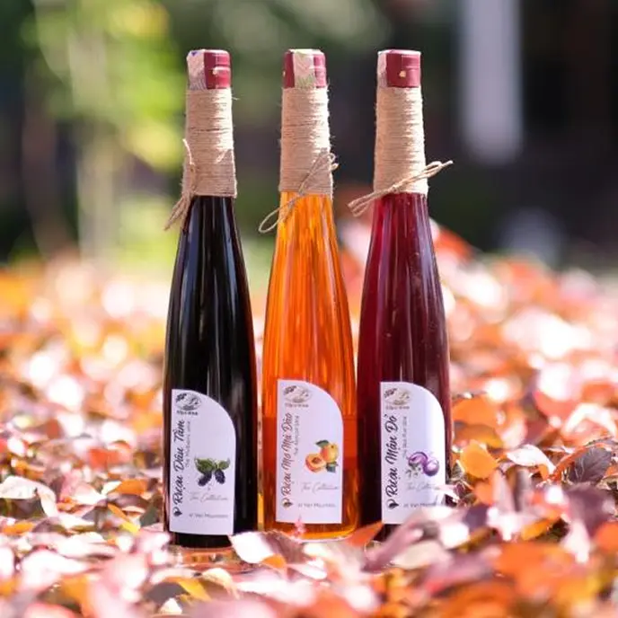 Ba chai rượu mận, mơ, dâu tằm